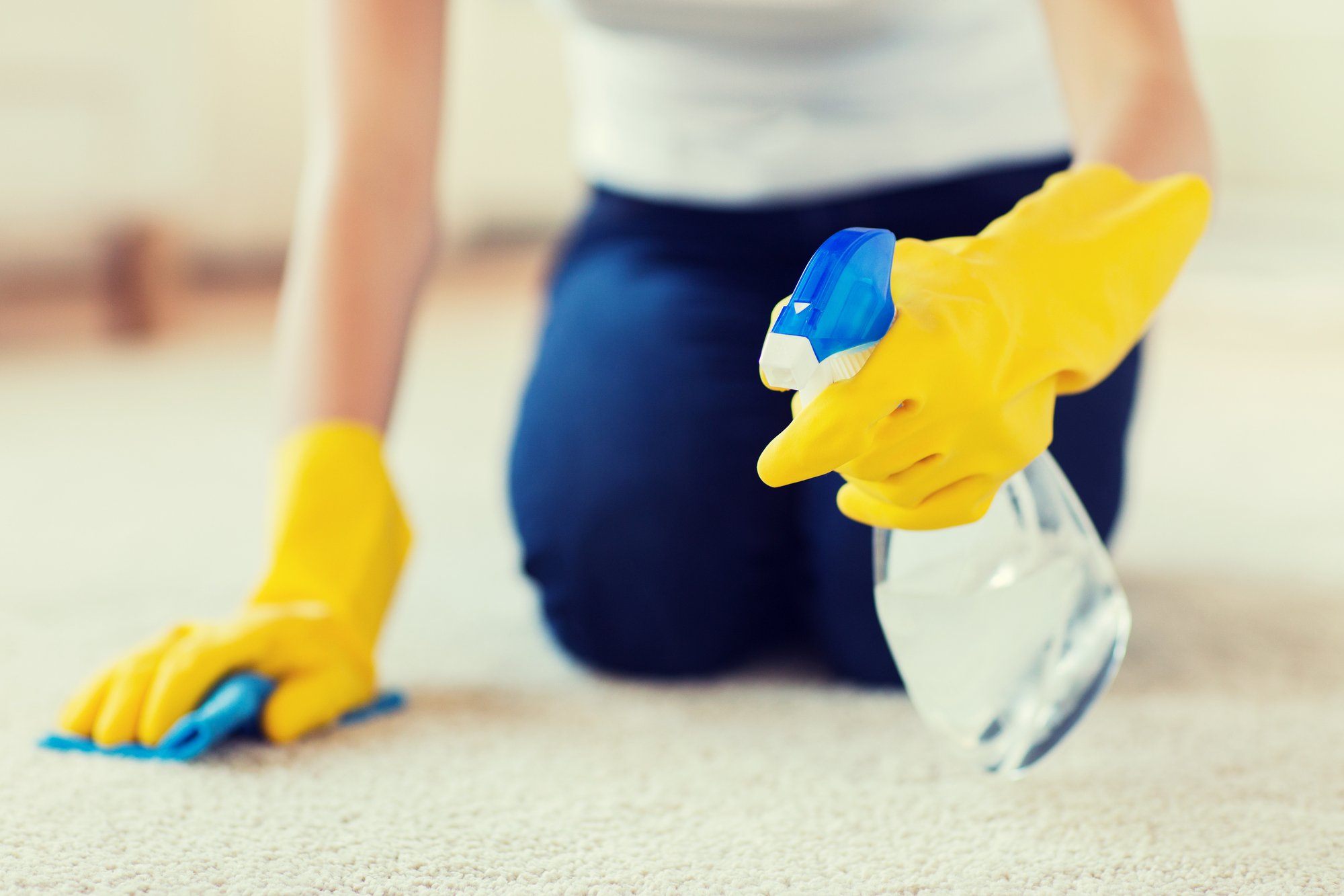 Stain Removal Services in Old Tappan